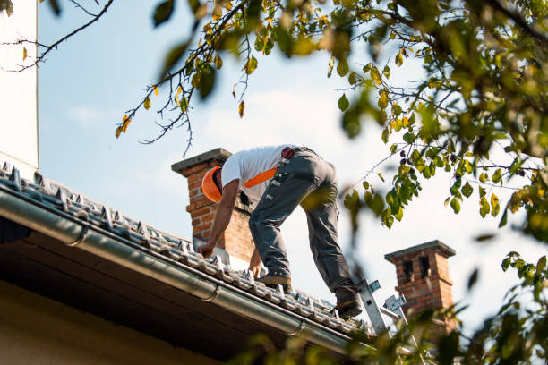 Best Gutter Installation and Repair  in Pequot Lakes, MN