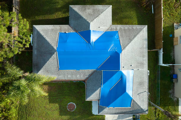 Best Sheet Metal Roofing  in Pequot Lakes, MN