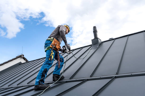Best Roof Coating and Sealing  in Pequot Lakes, MN